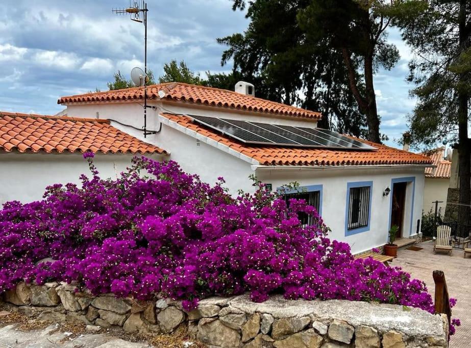 House With Swimming Pool And Amazing Sea And Mountain Views In Montgo, Ferienhaus Dénia