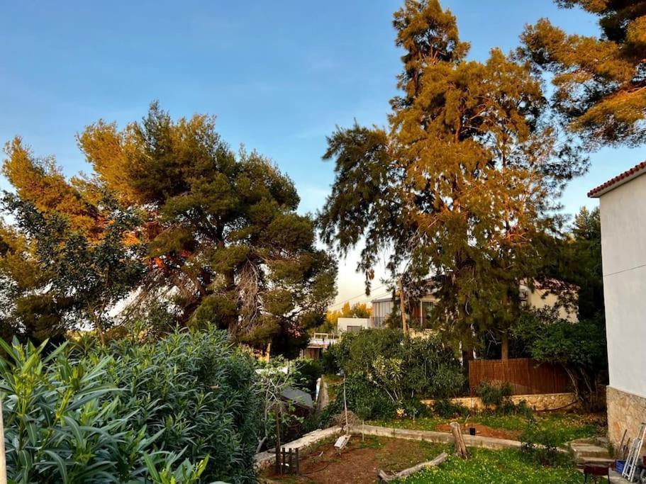 Ferienhaus House With Swimming Pool And Amazing Sea And Mountain Views In Montgo, Dénia